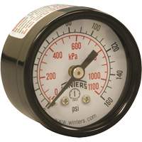 Economy Pressure Gauge, 1-1/2" , 0 - 160 psi, Back Mount, Analogue Infinity Industrial Services Inc.